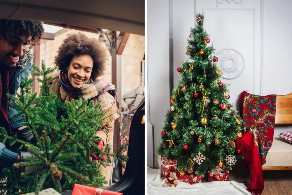 When Is the Best Time to Put Up Christmas Tree in 2023