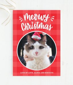 photo of cat on red Christmas card