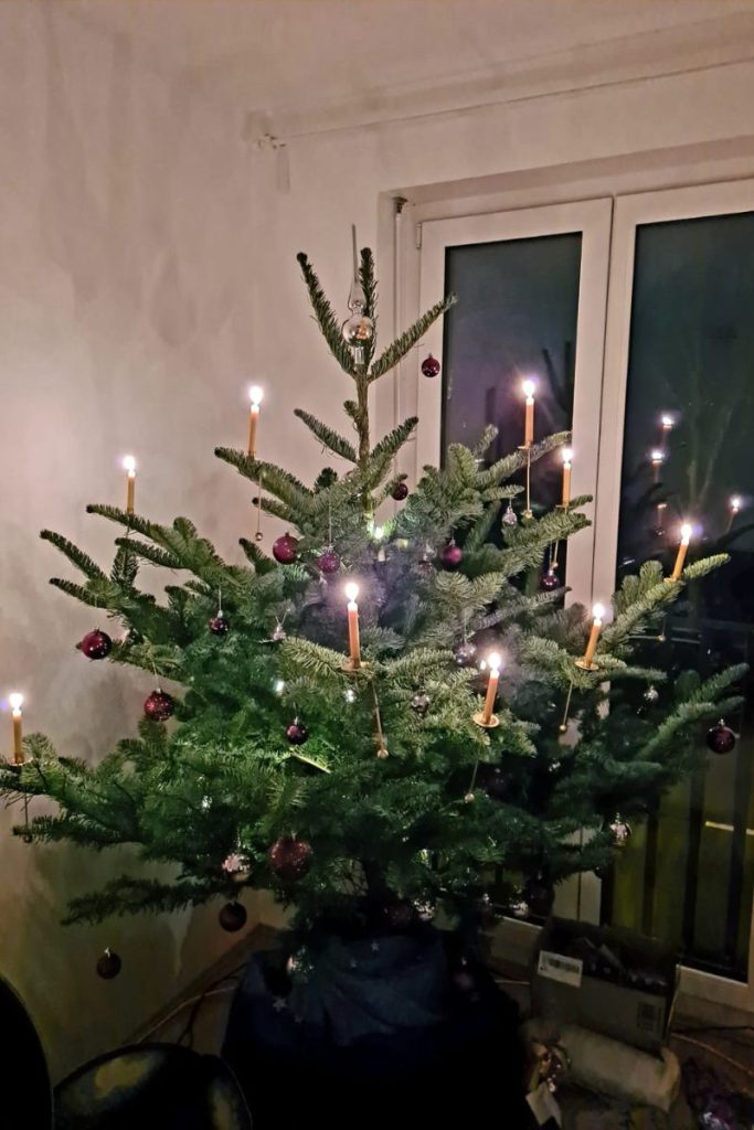 christmas tree with real candle lights